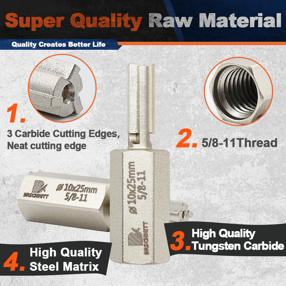 BRSCHNITT M14 & 5/8"-11 Carbide Mortar Raking Bit 10mm for Angle Grinder Brick Joint Removal